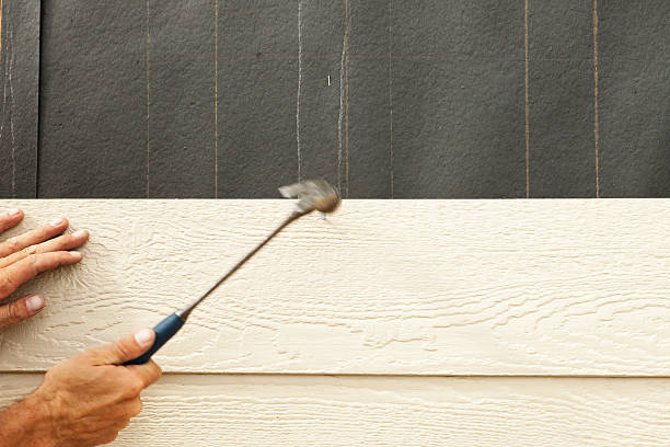 Best Stucco Siding  in Fishhook, AK